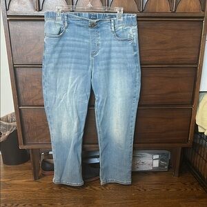 J. Jill High Rise Blue Jeans Relaxed Fit